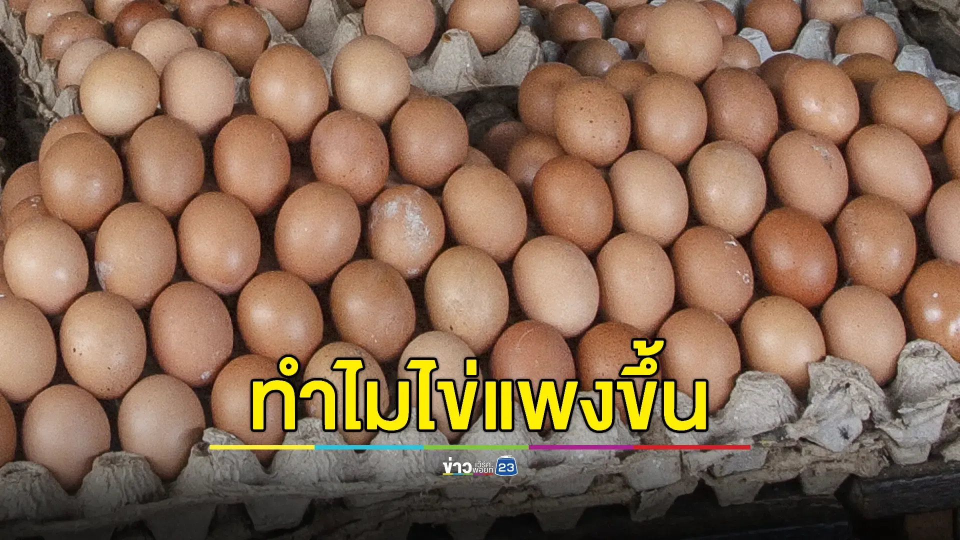 เผย 3 ปัจจัยราคาไข่คละหน้าฟาร์มปรับสูงขึ้น