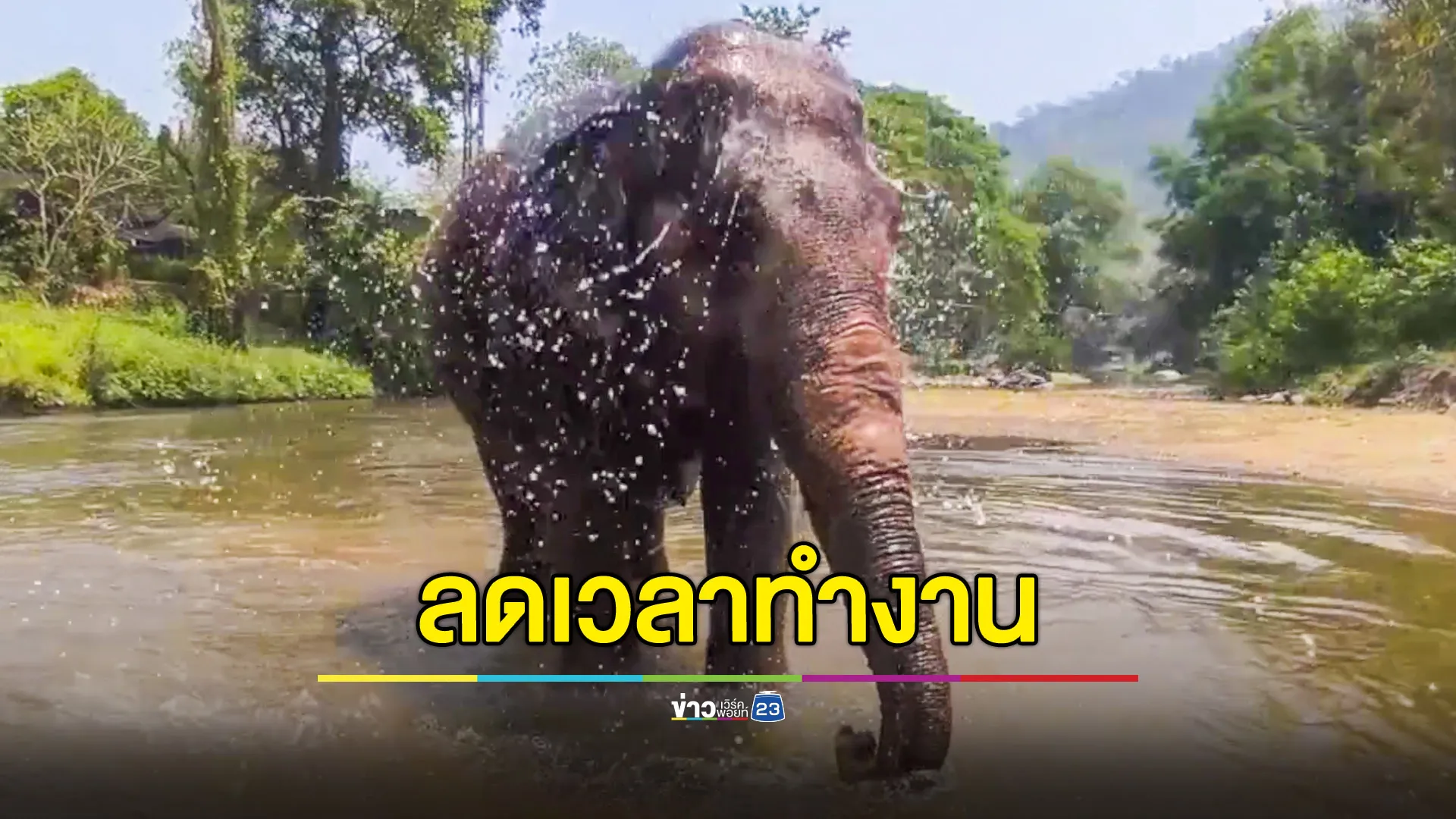 ปางช้างสั่งลดเวลาทำงาน-เพิ่มเวลาให้ช้างเล่นน้ำ ป้องกันช้างเครียดเหตุอากาศร้อนจัด